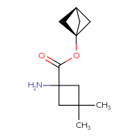 C12H19NO2