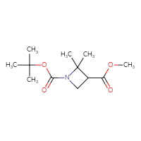 C12H21NO4