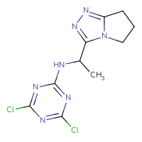 Chemical structure of 4,6-dichloro-N-(1-{5H,6H,7H-pyrrolo[2,1-c][1,2,4]triazol-3-yl}ethyl)-1,3,5-triazin-2-amine - CSSB21332074424