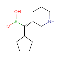 C11H22BNO2