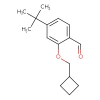 Chemical structure of 4-tert-butyl-2-(cyclobutylmethoxy)benzaldehyde - CSSB20460379407
