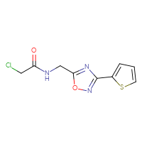 Chemical structure of 2-chloro-N-{[3-(thiophen-2-yl)-1,2,4-oxadiazol-5-yl]methyl}acetamide - CSSB01994705768