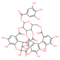 Chemical structure of 1,13,14,15,18,19,20,34,35,39,39-undecahydroxy-2,5,10,23,31-pentaoxo-6,9,24,27,30,40-hexaoxaoctacyclo[34.3.1.0⁴,³⁸.0⁷,²⁶.0⁸,²⁹.0¹¹,¹⁶.0¹⁷,²².0³²,³⁷]tetraconta-3,11,13,15,17,19,21,32(37),33,35-decaen-28-yl 3,4,5-trihydroxybenzoate - CSSB02515421374