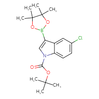 Chemical structure of tert-butyl 5-chloro-3-(4,4,5,5-tetramethyl-1,3,2-dioxaborolan-2-yl)-1H-indole-1-carboxylate - CSSB00010193838