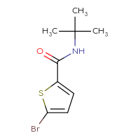 Chemical structure of 5-bromo-N-tert-butylthiophene-2-carboxamide - CSSB00000154196