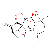 Chemical structure of (1S,2S,5S,8R,9S,10S,15R)-9,10,15,18-tetrahydroxy-12,12-dimethyl-6-methylidene-17-oxapentacyclo[7.6.2.1⁵,⁸.0¹,¹¹.0²,⁸]octadecan-7-one - CSSB20620518749