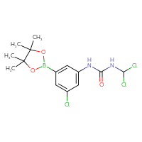 Chemical structure of 1-[3-chloro-5-(4,4,5,5-tetramethyl-1,3,2-dioxaborolan-2-yl)phenyl]-3-(dichloromethyl)urea - CSSB21245996547