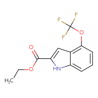 Chemical structure of ethyl 4-(trifluoromethoxy)-1H-indole-2-carboxylate - CSSB00000556302