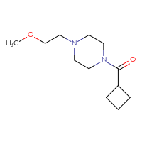 C12H22N2O2
