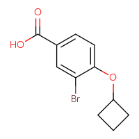 Chemical structure of 3-bromo-4-cyclobutoxybenzoic acid - CSSB00013110080