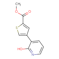 Chemical structure of methyl 4-(2-hydroxypyridin-3-yl)thiophene-2-carboxylate - CSSB00010139084