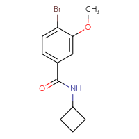 Chemical structure of 4-bromo-N-cyclobutyl-3-methoxybenzamide - CSSB00066859244
