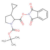 Chemical structure of 1-tert-butyl 2-(1,3-dioxo-2,3-dihydro-1H-isoindol-2-yl) 3-cyclopropylpyrrolidine-1,2-dicarboxylate - CSSB02126241970