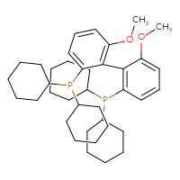 Chemical structure of dicyclohexyl[2'-(dicyclohexylphosphanyl)-6,6'-dimethoxy-[1,1'-biphenyl]-2-yl]phosphane - CSSB02515423605