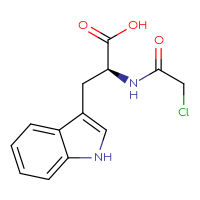 Chemical structure of (2S)-2-(2-chloroacetamido)-3-(1H-indol-3-yl)propanoic acid - CSSB00000057230