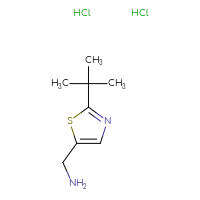 Chemical structure of 1-(2-tert-butyl-1,3-thiazol-5-yl)methanamine dihydrochloride - CSSB20621655972