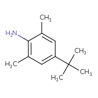 Chemical structure of 4-tert-butyl-2,6-dimethylaniline - CSSB00000041950