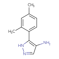 Chemical structure of 5-(2,4-dimethylphenyl)-1H-pyrazol-4-amine - CSSB00103018638