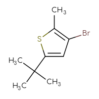 Chemical structure of 3-bromo-5-tert-butyl-2-methylthiophene - CSSB00121573773