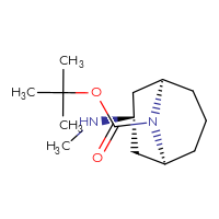 Chemical structure of tert-butyl (1R,3s,5S)-3-(methylamino)-9-azabicyclo[3.3.1]nonane-9-carboxylate - CSSB00121570856