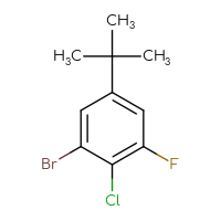 Chemical structure of 1-bromo-5-tert-butyl-2-chloro-3-fluorobenzene - CSSB14982690156