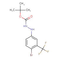 Chemical structure of N'-[4-bromo-3-(trifluoromethyl)phenyl](tert-butoxy)carbohydrazide - CSSB21331810660