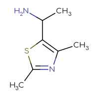 Chemical structure of 1-(2,4-dimethyl-1,3-thiazol-5-yl)ethan-1-amine - CSSB00000743294