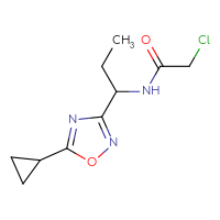 Chemical structure of 2-chloro-N-[1-(5-cyclopropyl-1,2,4-oxadiazol-3-yl)propyl]acetamide - CSSB21332069053