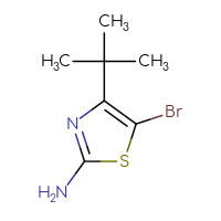 Chemical structure of 5-bromo-4-tert-butyl-1,3-thiazol-2-amine - CSSB00009812835