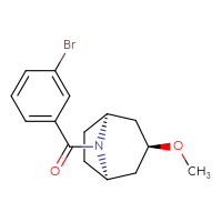 Chemical structure of (1R,3S,5S)-8-(3-bromobenzoyl)-3-methoxy-8-azabicyclo[3.2.1]octane - CSSB02206077208