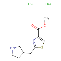 Chemical structure of methyl 2-[(pyrrolidin-3-yl)methyl]-1,3-thiazole-4-carboxylate dihydrochloride - CSSB21043403814