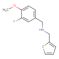Chemical structure of [(3-fluoro-4-methoxyphenyl)methyl][(thiophen-2-yl)methyl]amine - CSSB00000505254