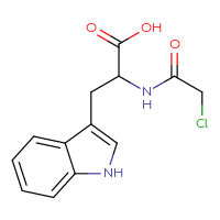 Chemical structure of 2-(2-chloroacetamido)-3-(1H-indol-3-yl)propanoic acid - CSSB00000682141