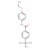 Chemical structure of 4-tert-butyl-N-(4-ethoxyphenyl)benzamide - CSSB00104329231