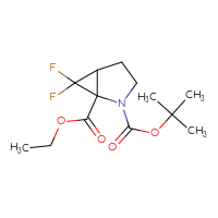 C13H19F2NO4