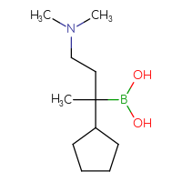 C11H24BNO2