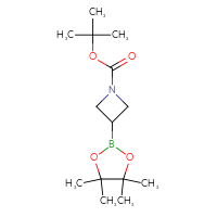 C14H26BNO4