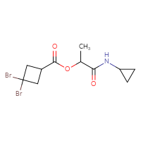 C11H15Br2NO3