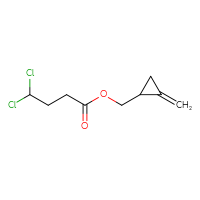 C9H12Cl2O2