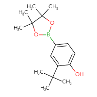 C16H25BO3