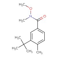 Chemical structure of 3-tert-butyl-N-methoxy-N,4-dimethylbenzamide - CSSB05814837210