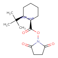 Chemical structure of rac-2,5-dioxopyrrolidin-1-yl (1R,2S)-2-tert-butylcyclohexane-1-carboxylate - CSSB20620684702