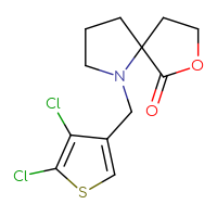 Chemical structure of 1-[(4,5-dichlorothiophen-3-yl)methyl]-7-oxa-1-azaspiro[4.4]nonan-6-one - CSSS00138486076