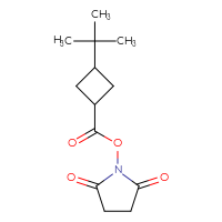 Chemical structure of 2,5-dioxopyrrolidin-1-yl 3-tert-butylcyclobutane-1-carboxylate - CSSB02177819300