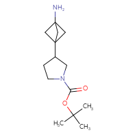 Chemical structure of tert-butyl 3-{3-aminobicyclo[1.1.1]pentan-1-yl}pyrrolidine-1-carboxylate - CSSB06368603667