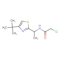 Chemical structure of N-[1-(4-tert-butyl-1,3-thiazol-2-yl)ethyl]-2-chloroacetamide - CSSB01994756293