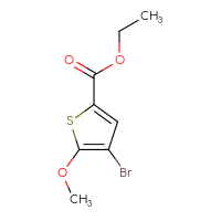 Chemical structure of ethyl 4-bromo-5-methoxythiophene-2-carboxylate - CSSB01703328748
