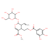 Chemical structure of methyl 3-ethenyl-2-{[3,4,5-trihydroxy-6-(hydroxymethyl)oxan-2-yl]oxy}-4-[2-(3,4,5-trihydroxybenzoyloxy)ethyl]-3,4-dihydro-2H-pyran-5-carboxylate - CSSB00159268046