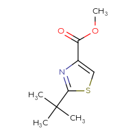 Chemical structure of methyl 2-tert-butyl-1,3-thiazole-4-carboxylate - CSSB00011765873