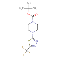Chemical structure of tert-butyl 4-[5-(trifluoromethyl)-1,3,4-thiadiazol-2-yl]piperazine-1-carboxylate - CSSB00027648324